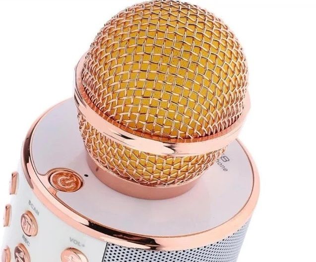 Караоке-мікрофон Optima Wster MK-1 Rose Gold (WS-MK-1-RSD)