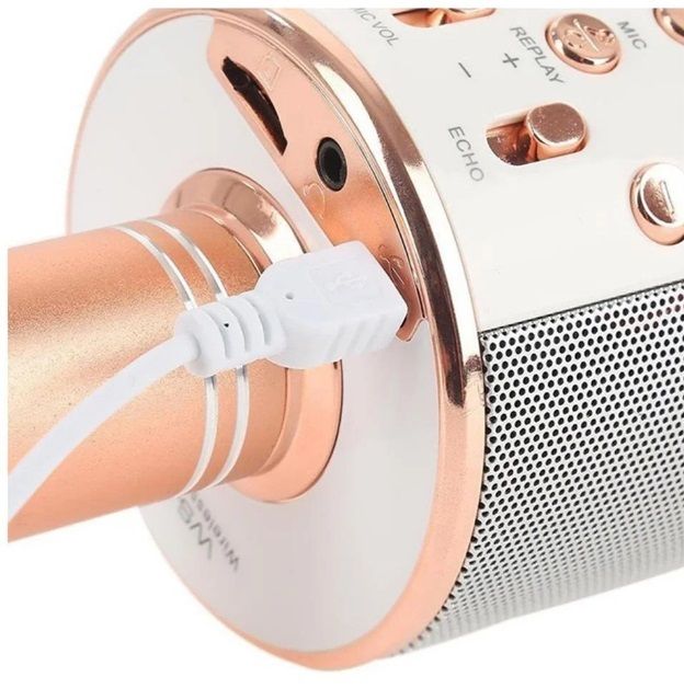 Караоке-мікрофон Optima Wster MK-1 Rose Gold (WS-MK-1-RSD)