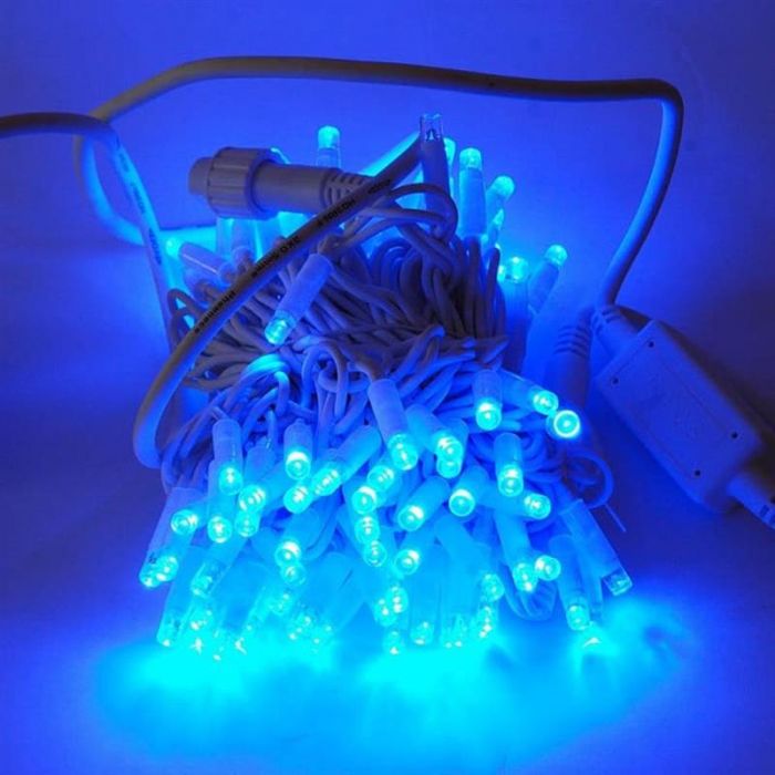 Світлодіодна гірлянда ColorWay (CW-GO-100L10BL) 100LED, 10м, синє світло