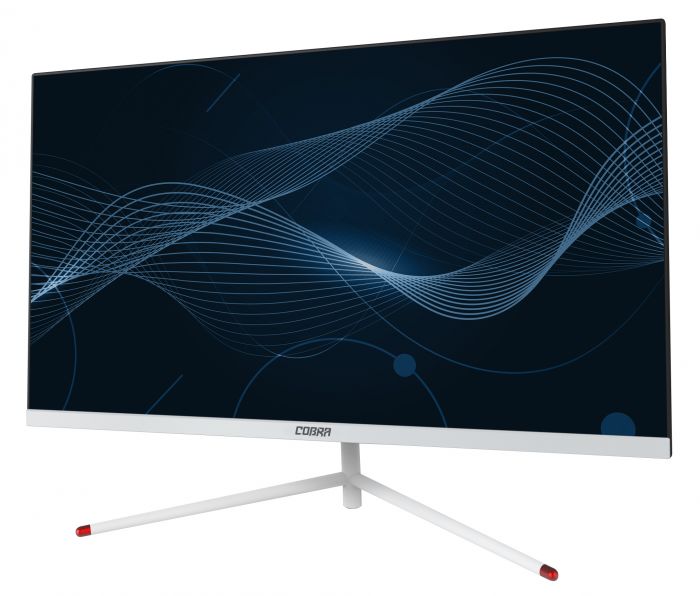 Персональний комп`ютер-моноблок COBRA P24-720 (CA24.HK7.I14.8.S4H2.N.U.275) White