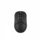 Мишка бездротова A4Tech FB12 Black USB