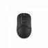 Миша бездротова A4Tech FB12 Black USB