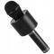 Караоке-мікрофон Optima Wster MK-1 Black (WS-MK-1-BK)