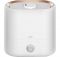 Зволожувач повітря Xiaomi Deerma Humidifier 4,5L White (DEM-ST635W)