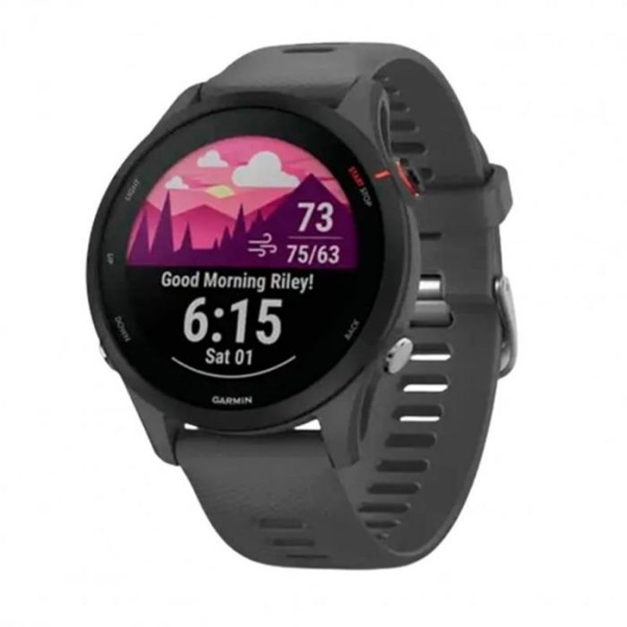 Смарт-годинник Garmin Forerunner 255 Slate (010-02641-00)