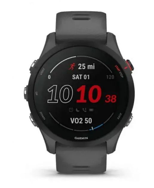 Смарт-годинник Garmin Forerunner 255 Slate (010-02641-00)