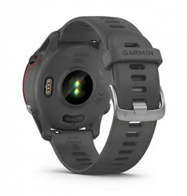 Смарт-годинник Garmin Forerunner 255 Slate (010-02641-00)