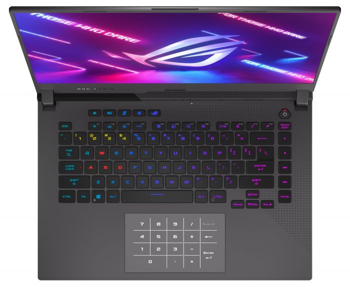 Ноутбук Asus ROG Strix G15 G513IC-HN004 (90NR0502-M003L0) Gray