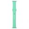 Ремінець Armorstandart Sport Band (3 Straps) для Apple Watch 42mm/44mm/45mm Spearmint (ARM57873)