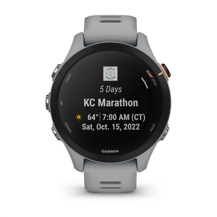 Смарт-годинник Garmin Forerunner 255S Slate (010-02641-02)