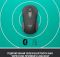 Мишка бездротова Logitech Signature M650 L Graphite (910-006236)