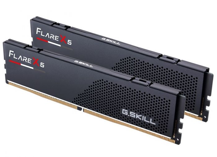 Модуль пам`ятi DDR5 2x16GB/5600 G.Skill Flare X5 (F5-5600J3636C16GX2-FX5)