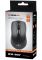 Мишка REAL-EL RM-207 Black USB