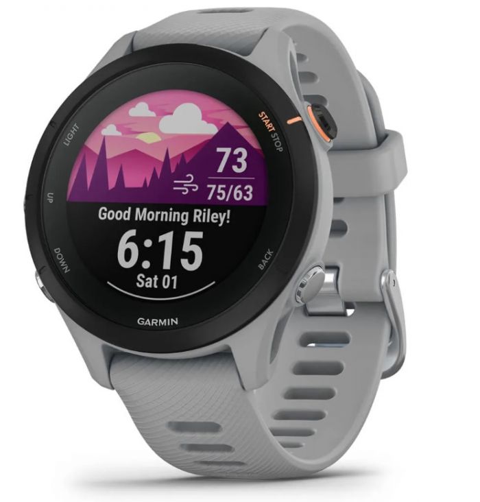 Смарт-годинник Garmin Forerunner 255S Slate (010-02641-02)