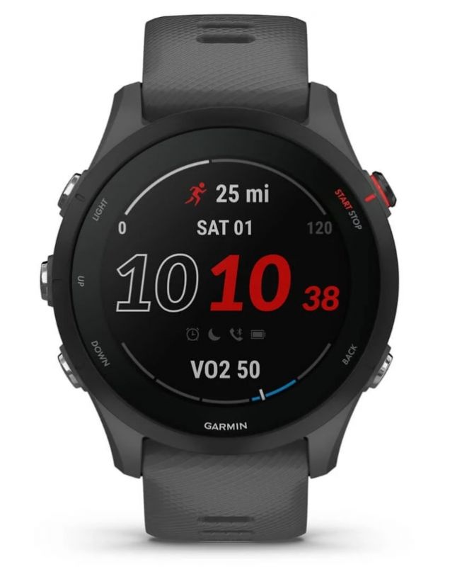 Смарт-годинник Garmin Forerunner 255 Slate (010-02641-43)