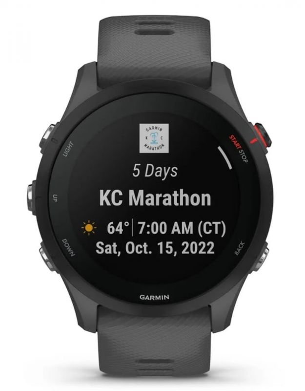 Смарт-годинник Garmin Forerunner 255 Slate (010-02641-43)