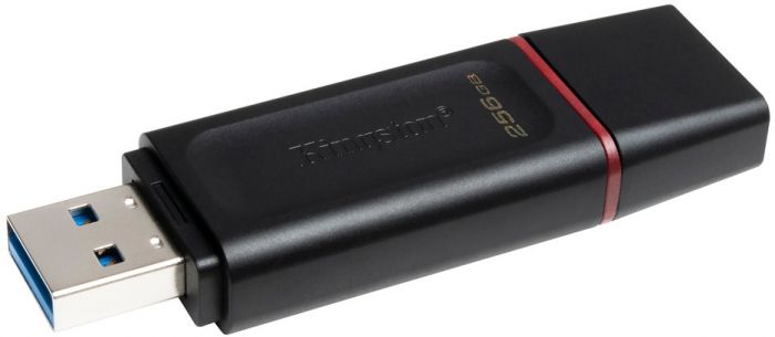 Флеш-накопичувач USB3.2 256GB Kingston DataTraveler Exodia Black/Pink (DTX/256GB)