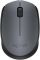 Мишка бездротова Logitech M170 Grey/Black (910-004642)