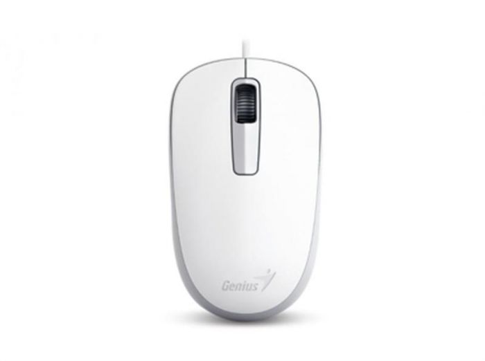 Мишка Genius DX-125 White (31010106102) USB