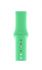 Ремінець Armorstandart Sport для Apple Watch 38mm/40mm Mint (ARM51938)