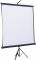 Проекційний екран Atria 100" (203x153, 4:3) (TW-NTSC-100DMW)