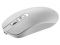 Мишка бездротова Canyon CNS-CMSW18PW White Мишка бездротова Canyon CNS-CMSW18PW White