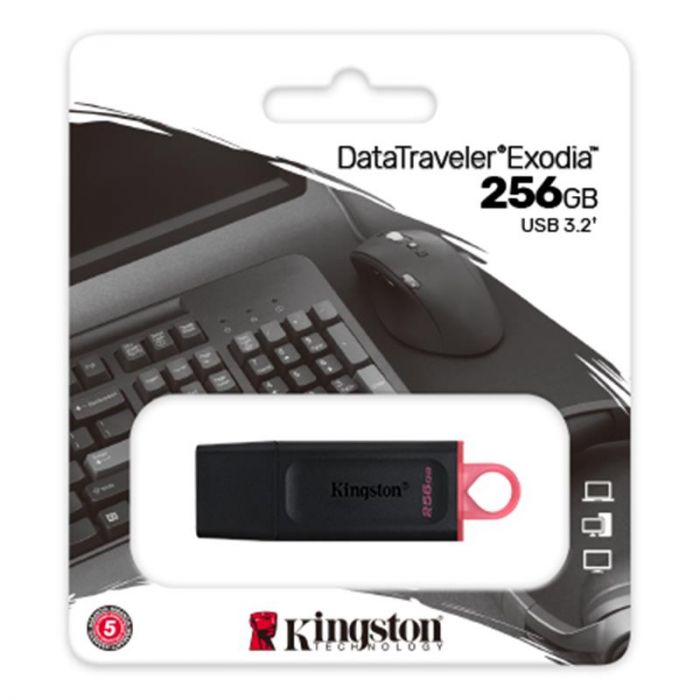 Флеш-накопичувач USB3.2 256GB Kingston DataTraveler Exodia Black/Pink (DTX/256GB)