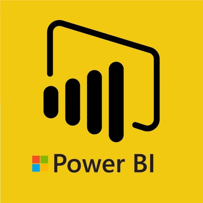 Програмне забезпечення MS Power BI Pro 1місяць (AAA-13173)