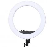 Кільцева LED-лампа Voltronic (YQ460B/05707)