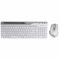 Комплект (клавіатура, миша) бездротовий A4Tech FB2535C Icy White