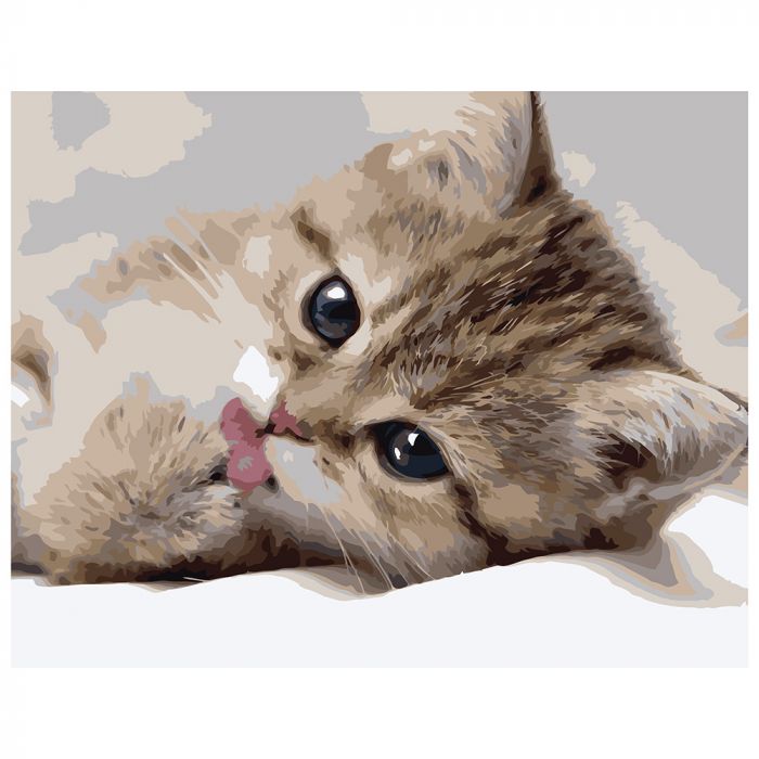 Картина за номерами Strateg ПРЕМІУМ Маленьке кошеня з лаком розміром 40х50 см VA-0522