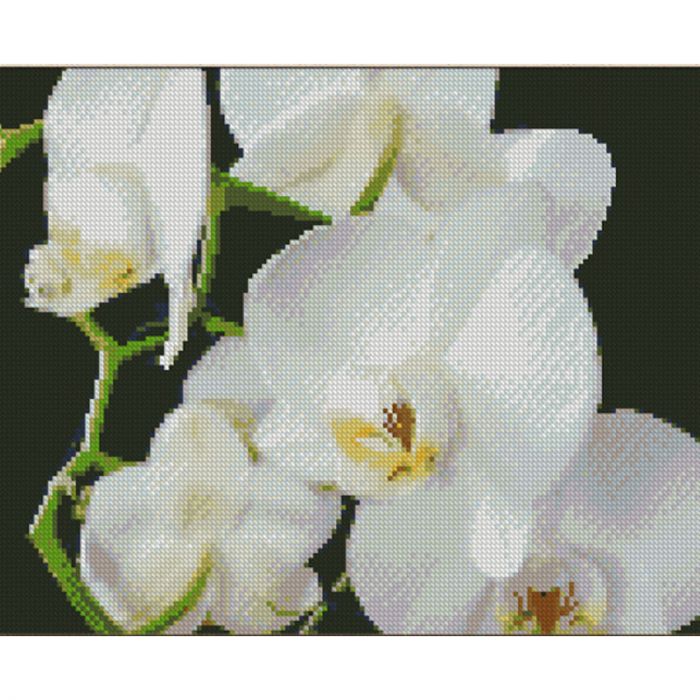 Алмазна мозаїка Strateg ПРЕМІУМ Білі орхідеї розміром 30х40 см (KB011)