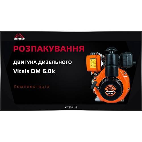 Двигун дизельний Vitals DM 6.0k